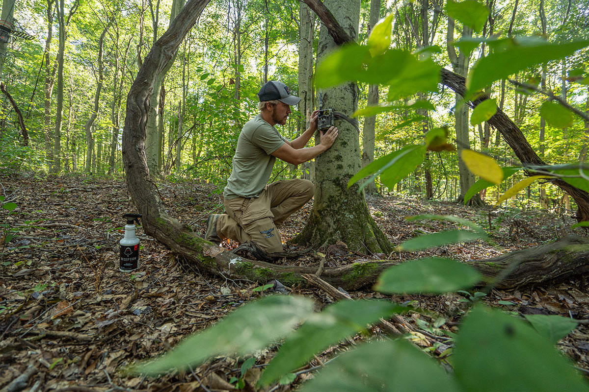 2025 Rut Predictions & Best Hunting Days (November Forecast)