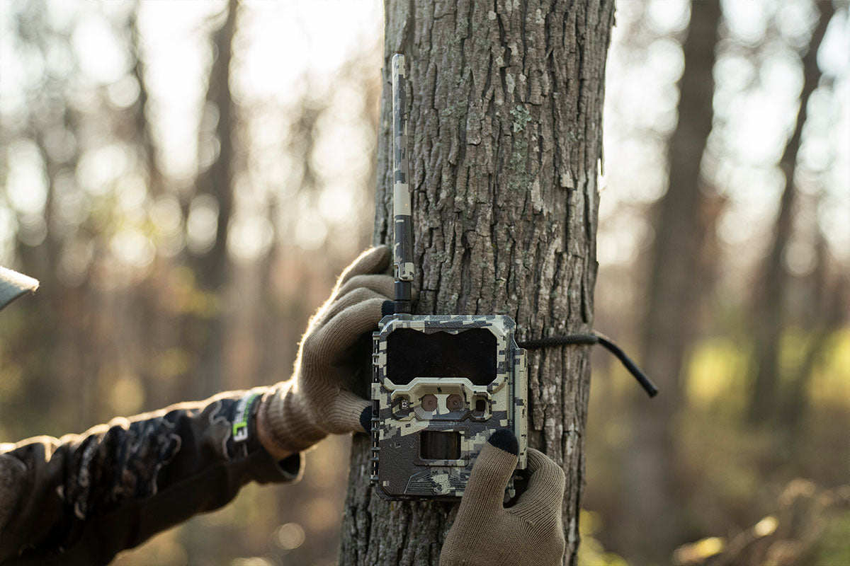 Scouting & Adjusting: How to Rethink Your November Stands