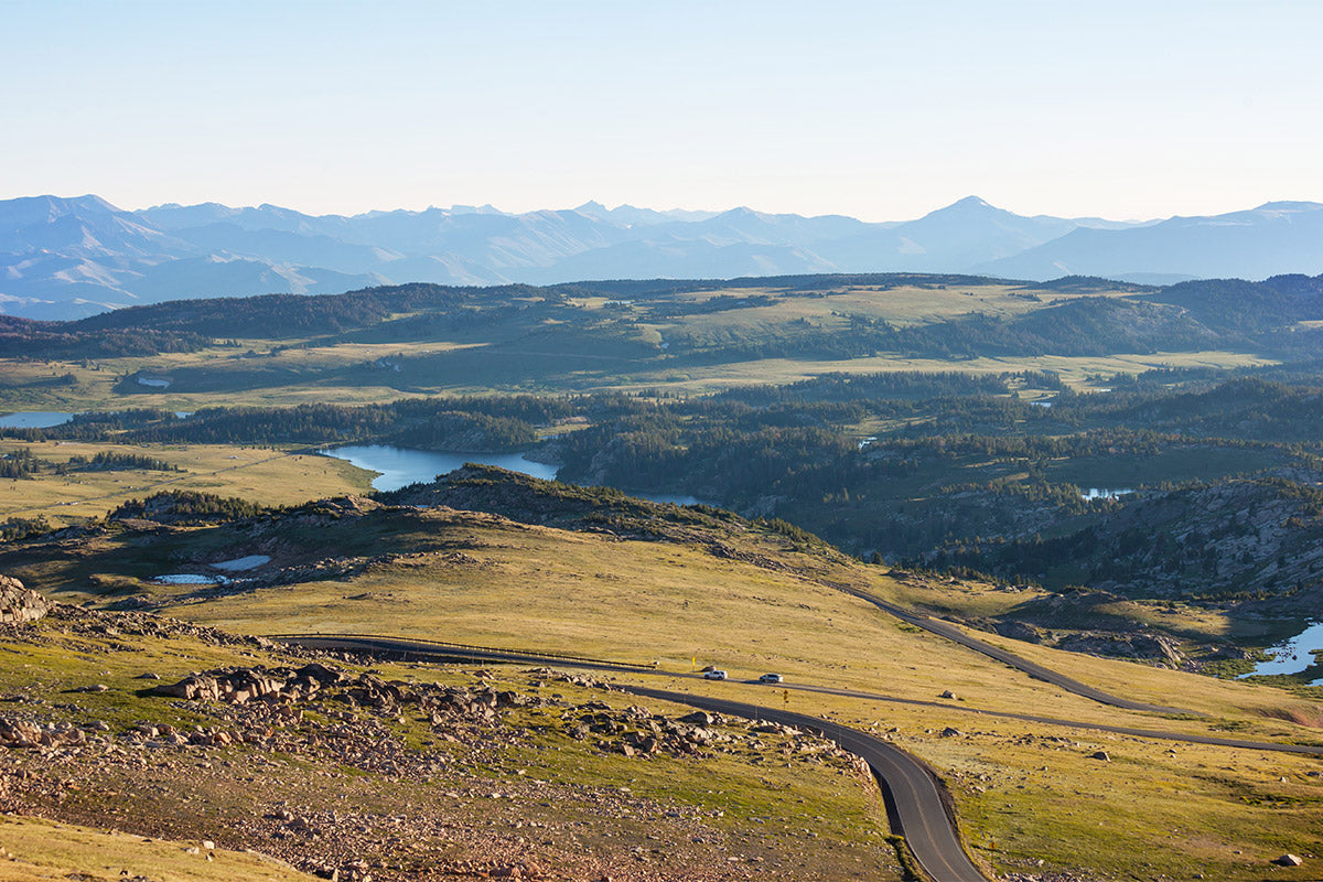 Do’s and Don’ts of Public Land Trail Camera Use: Ethics, Laws, and Smart Setup