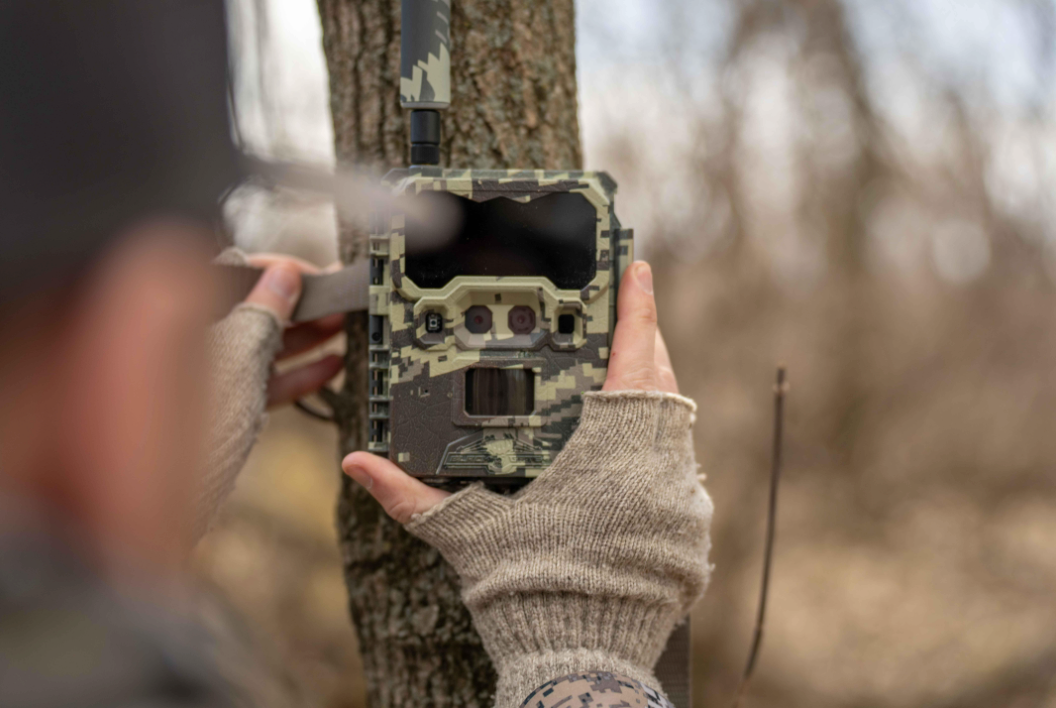 Top Trail Camera Tips for Hunting Big Woods Bucks in the Rut