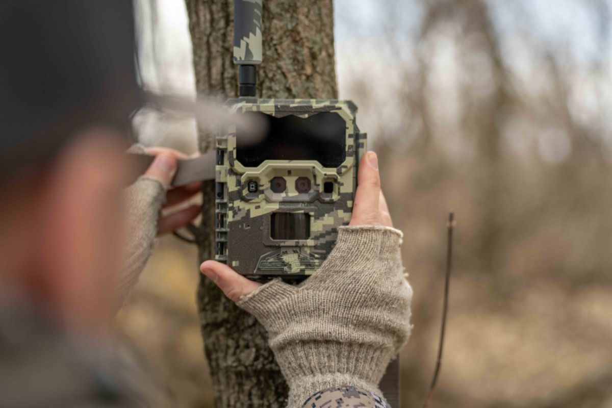 Best Trail Cameras for Deer Hunting in 2025: Top Picks and Features