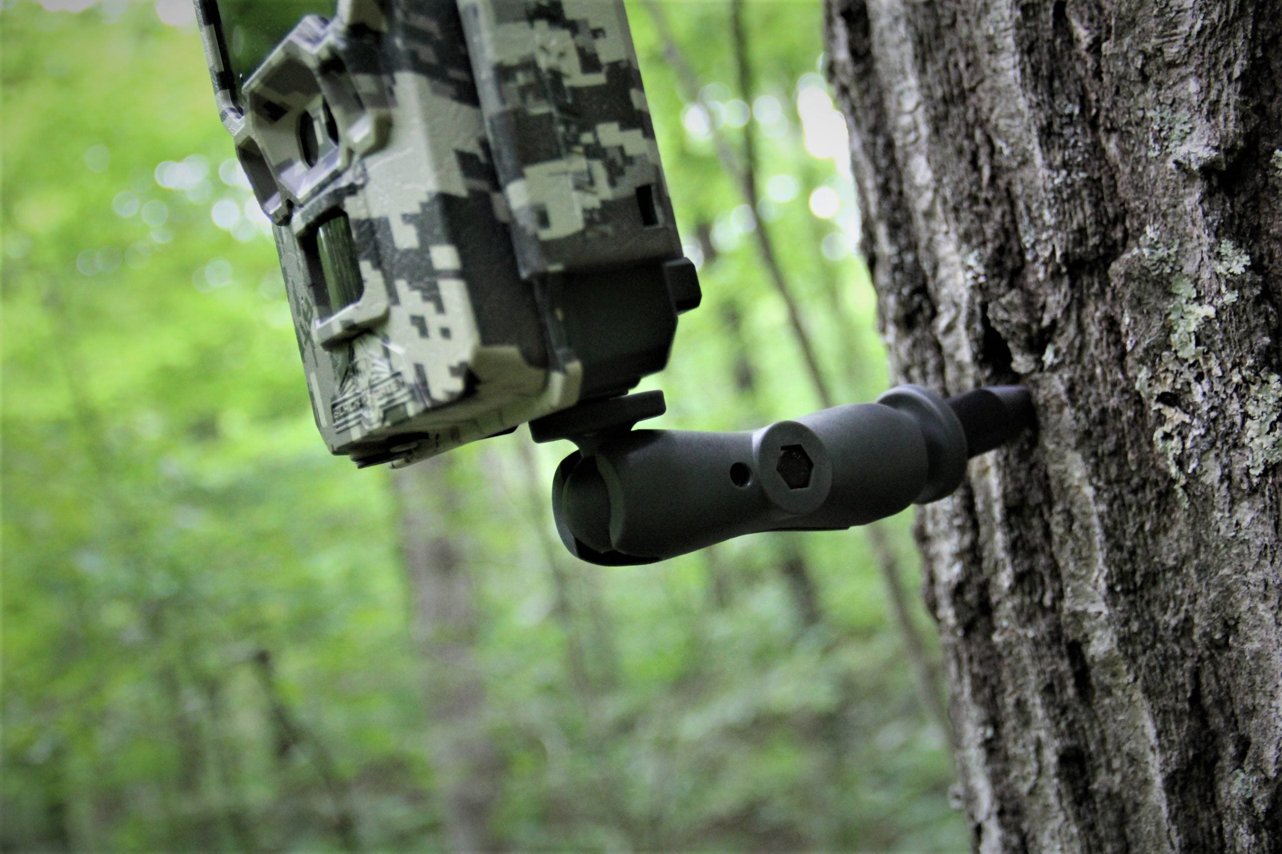 Universal Tree Mount