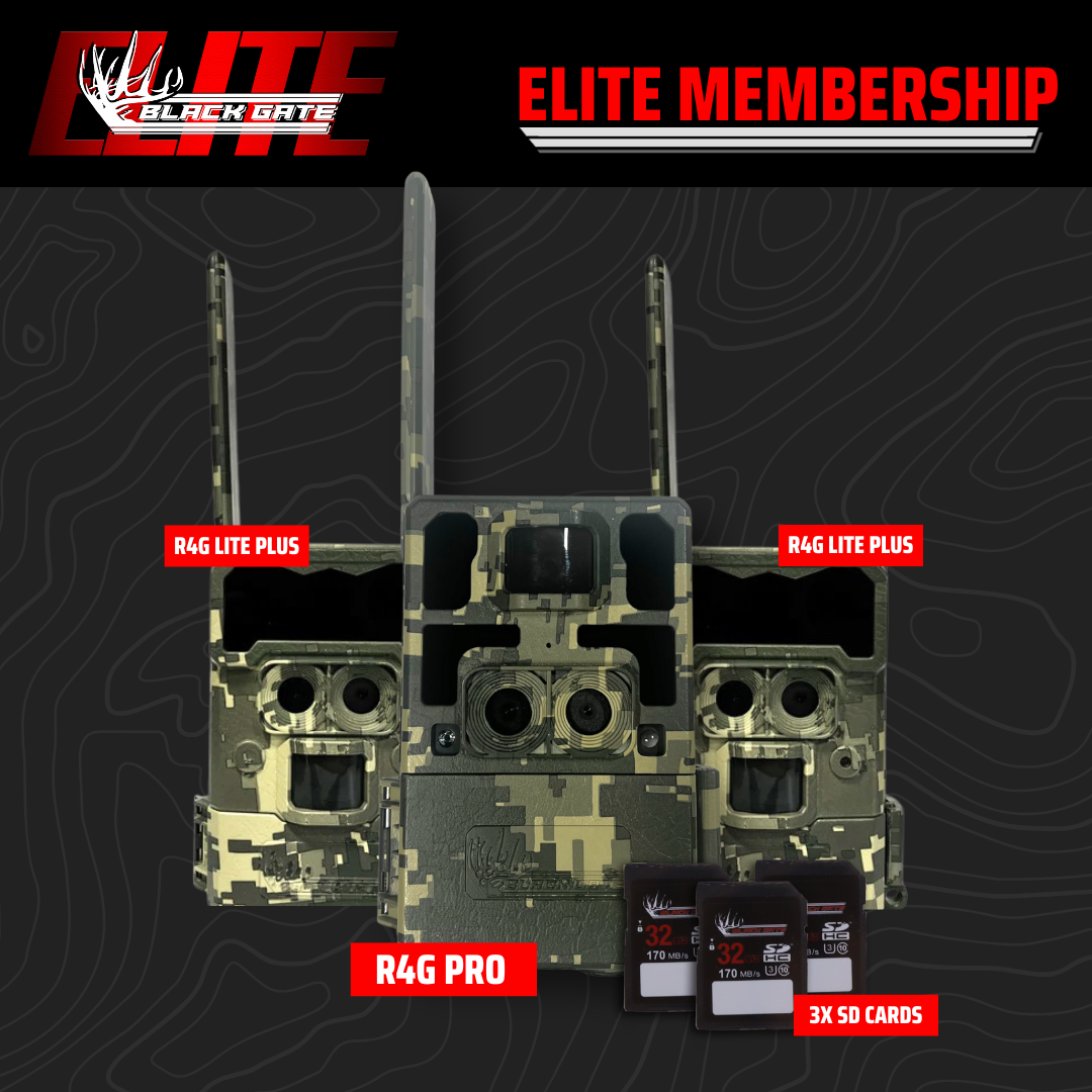 Black Gate Elite Membership