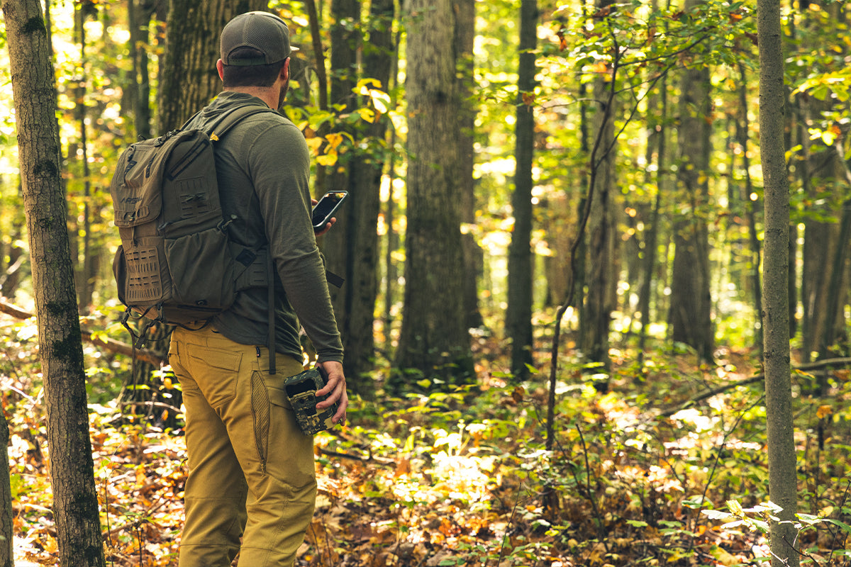 Comparison Review: Best Calls, Scents & Lures for November Hunting