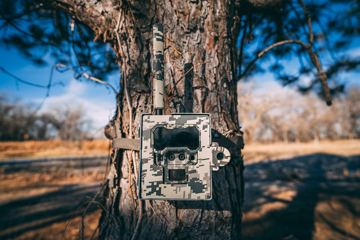 Black Gate Trail Camera Accessories Every Hunter Should Use