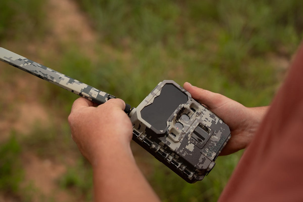 Maximizing November Whitetail Success: Gear, Tactics & Timing