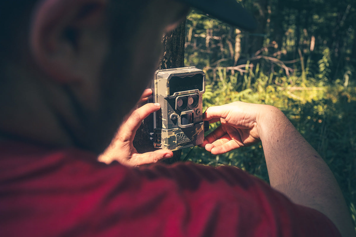 Trail Camera Settings for Early Spring: Reduce False Triggers and Save Battery Life