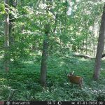 R4G LITE photo review