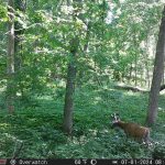 R4G LITE photo review