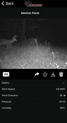 R4G LITE photo review