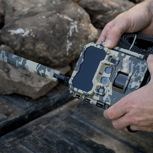 Learn more about Black Gate Hunting
